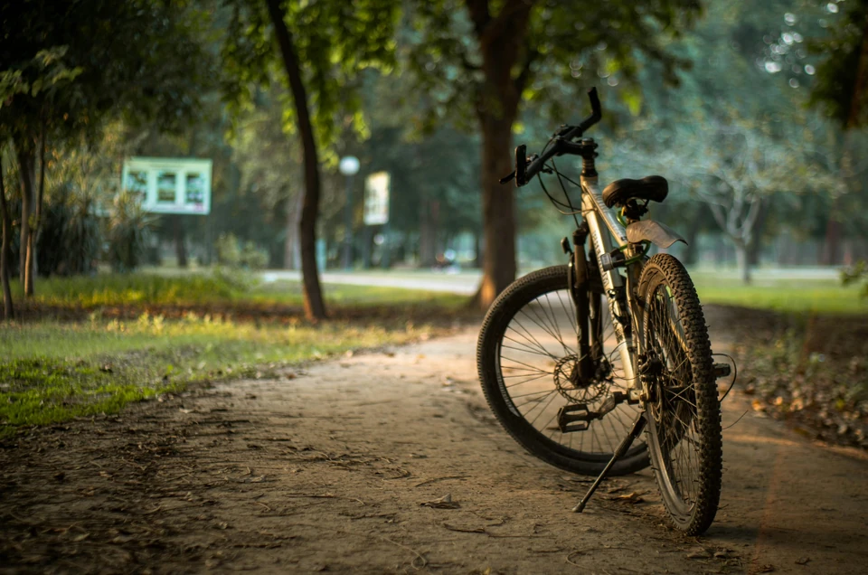 Cykel parkerad i en park i eftermiddagsljus.